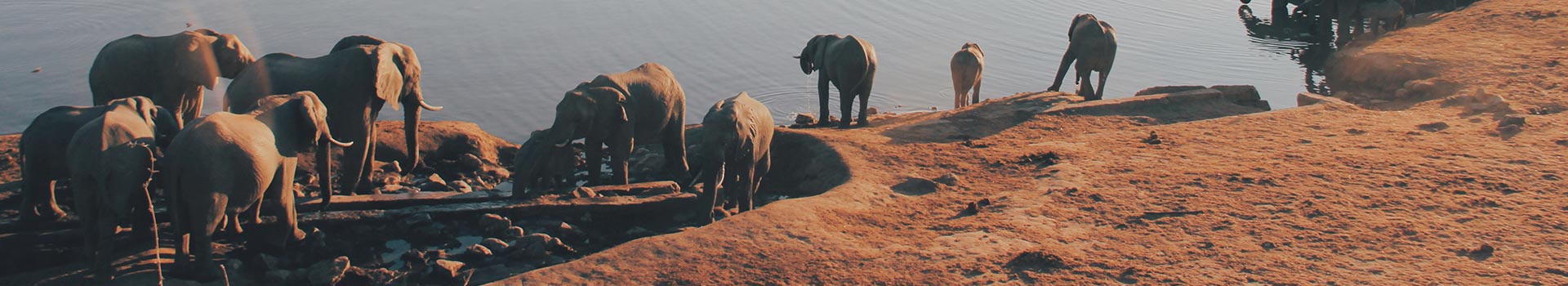 Voyage au Zimbabwe