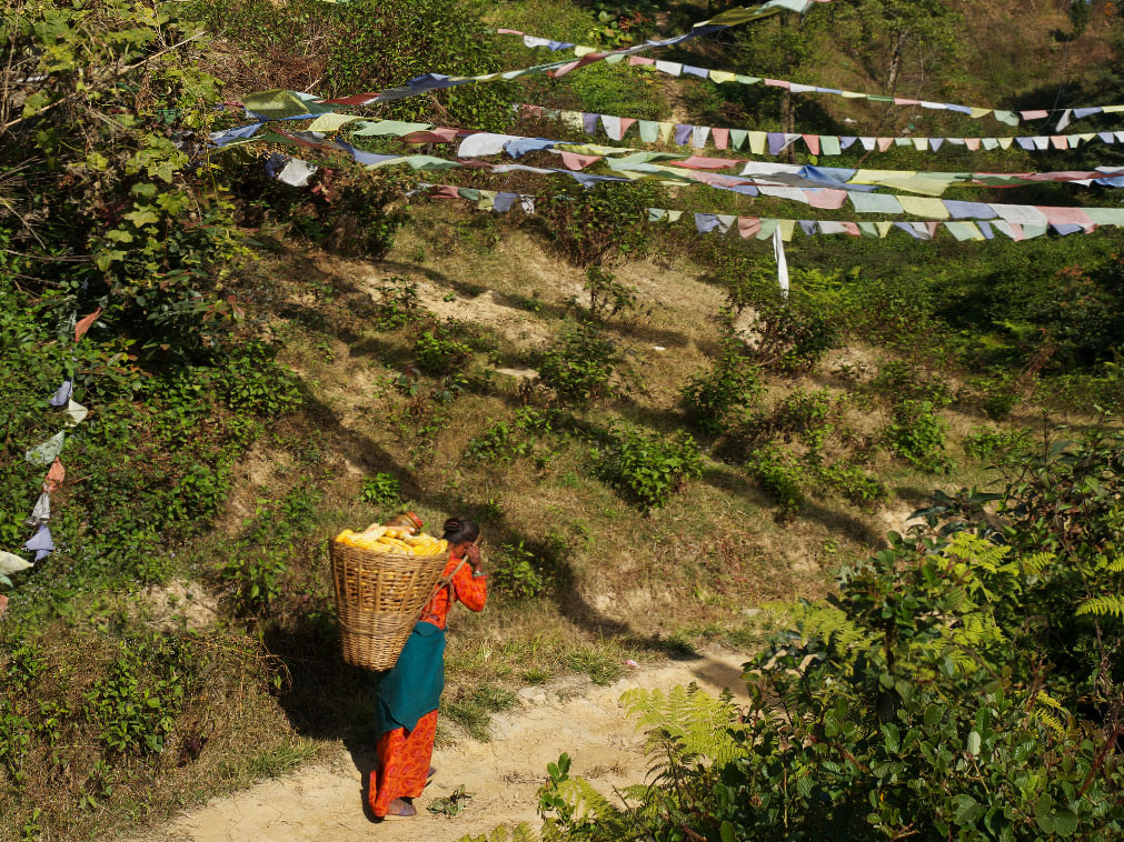 circuit_vallee_de_katmandou_unesco_nepalaise