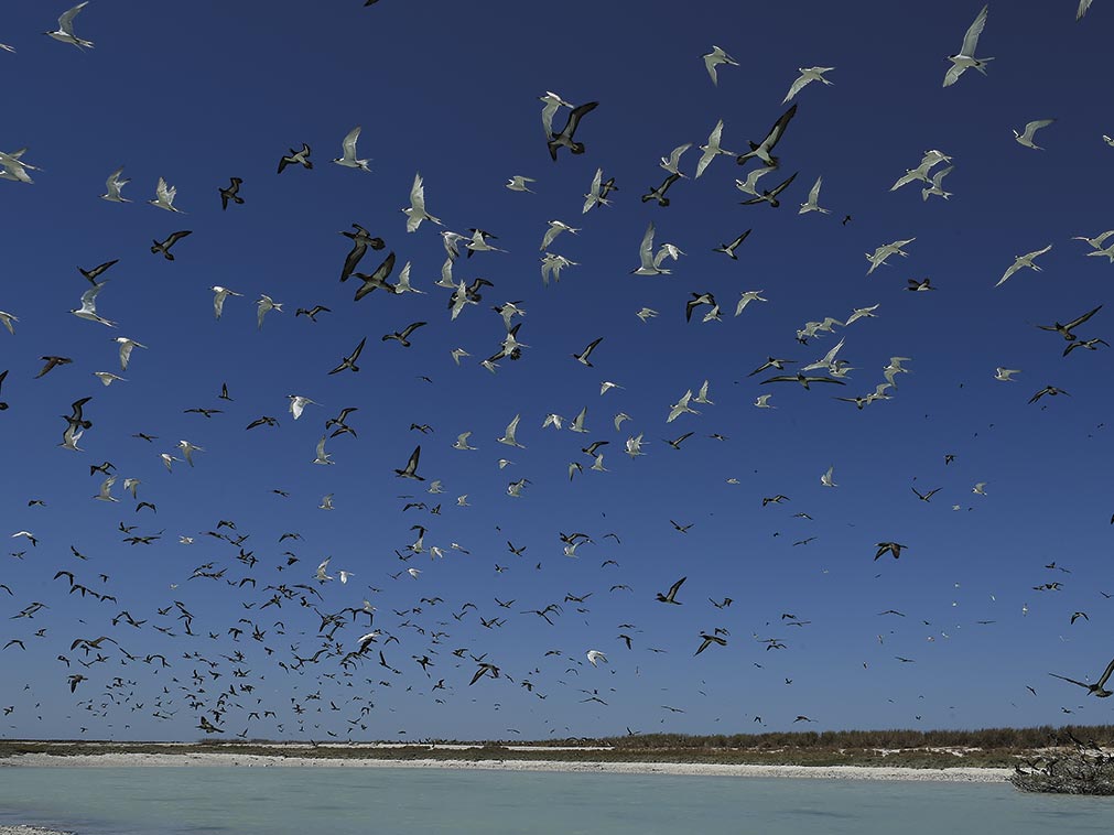 croisiere_amplitudes_australie_darwin_broome