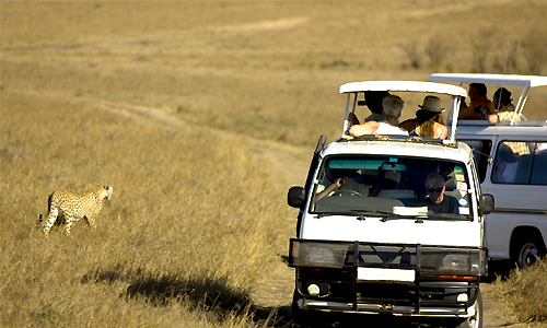 partir_au_kenya_safari_reserve_4x4_parc_amboseli