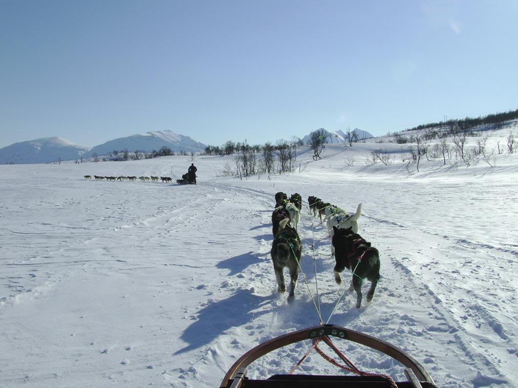 amplitudes_circuit_croisiere_norvege_hiver_laponie