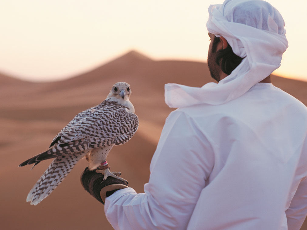 desert_faucon_fauconerie_abu_dhabi_emirats_