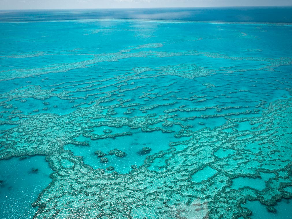 croisiere_amplitudes_australie_ile_continent