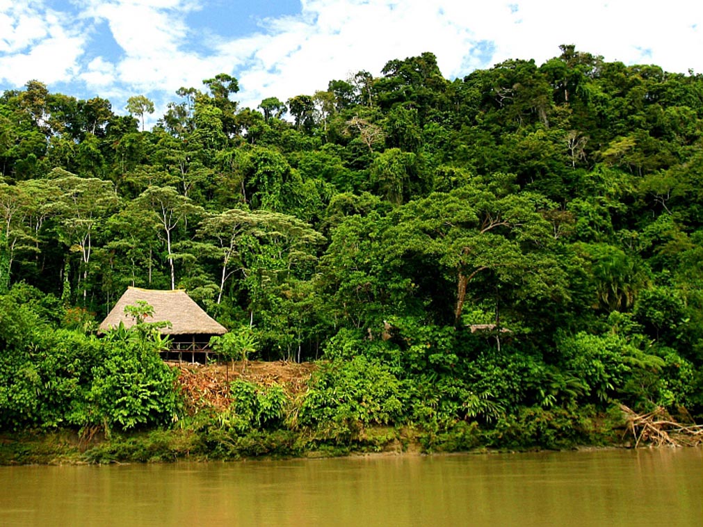 croisiere_amazonie_equateur_coeur_foret_primaire