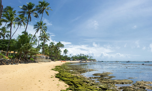 voyage_sur_mesure_brasil_praia_do_forte_bahia