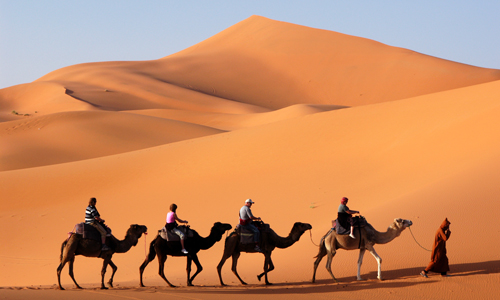 decouvrir_le_maroc_et_les_dunes_sahara_et_chameaux