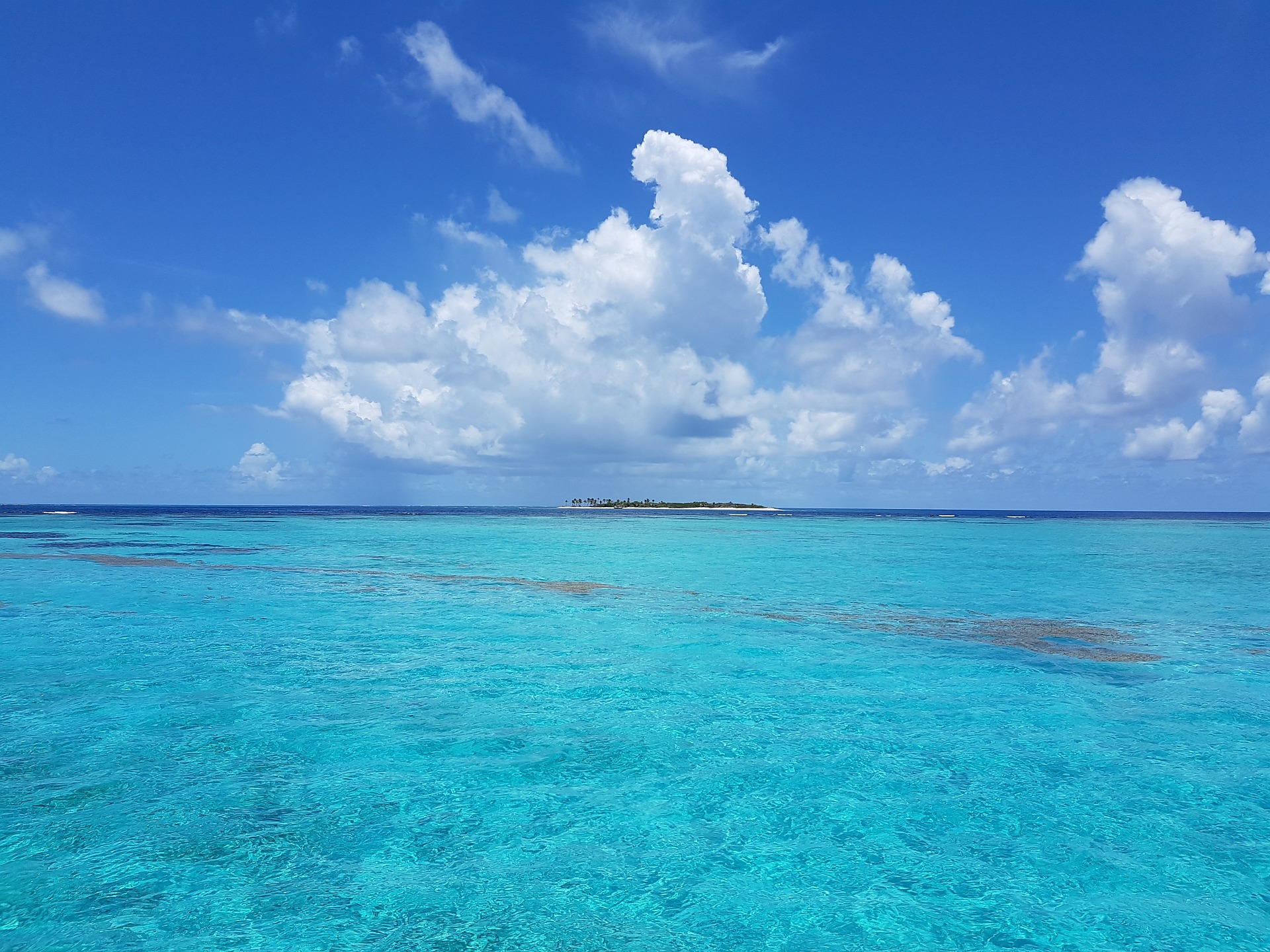 tobago_cays_caraibes_en_famille