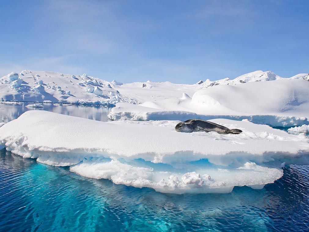 amplitudes_croisiere_tour_du_monde_antarctique