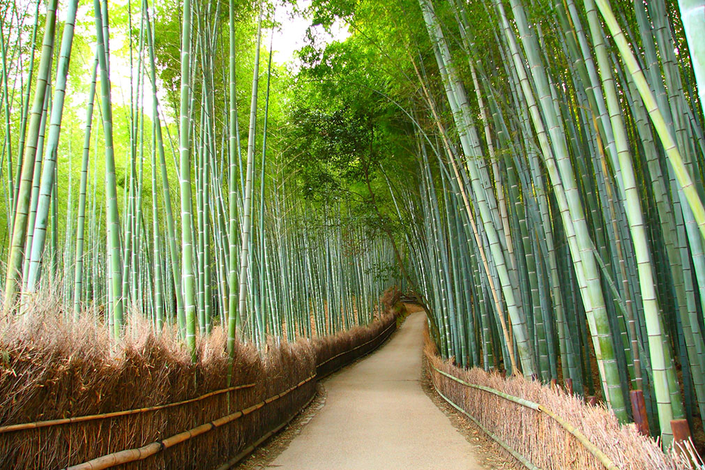 sejour_decouverte_japon_mont_koya_kongobu_ji_osaka