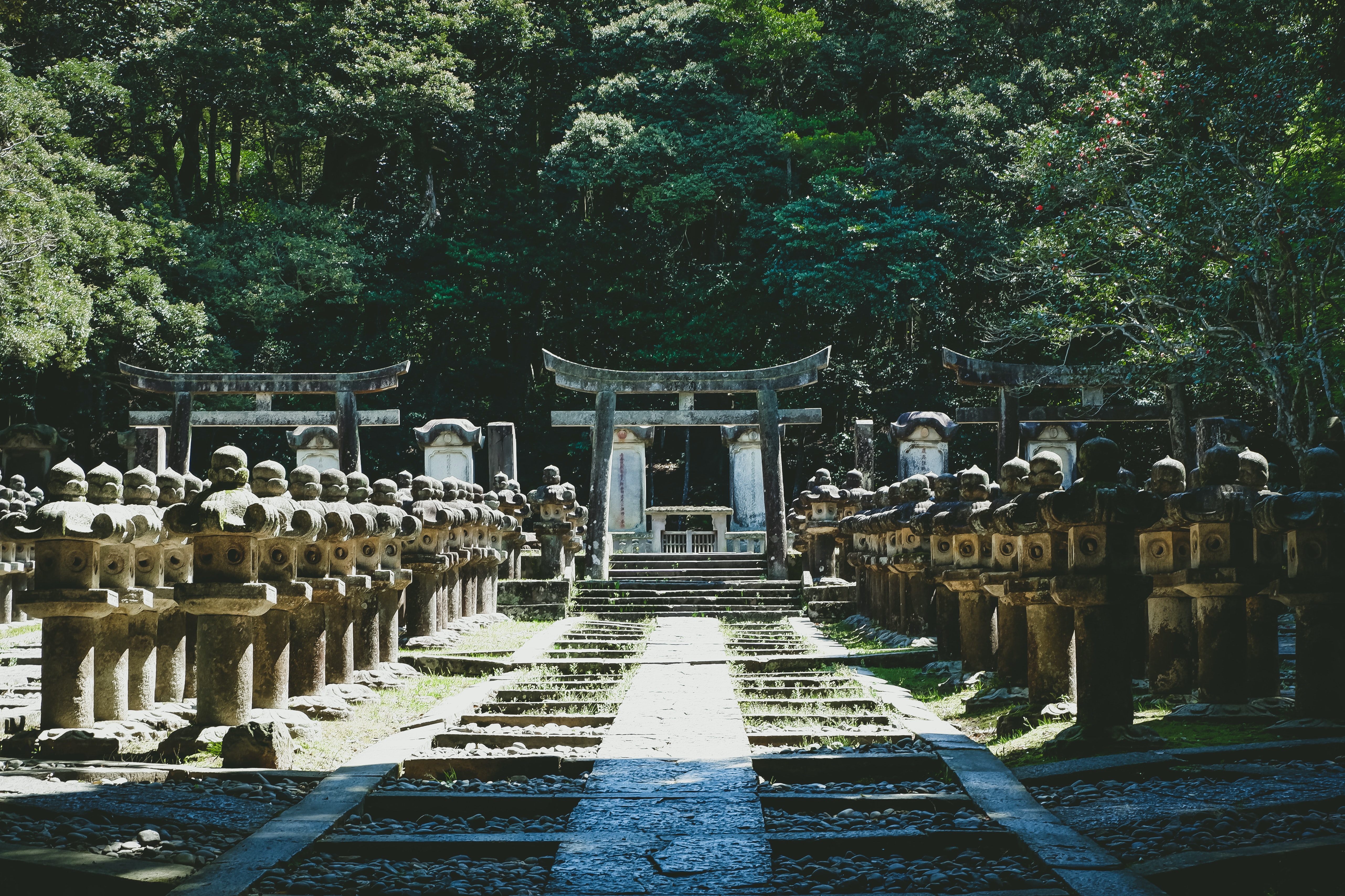 hagi_yamaguchi