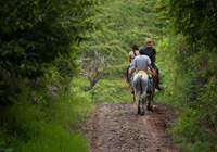 voyage_costa_rica_visiter_parc_tortuguero