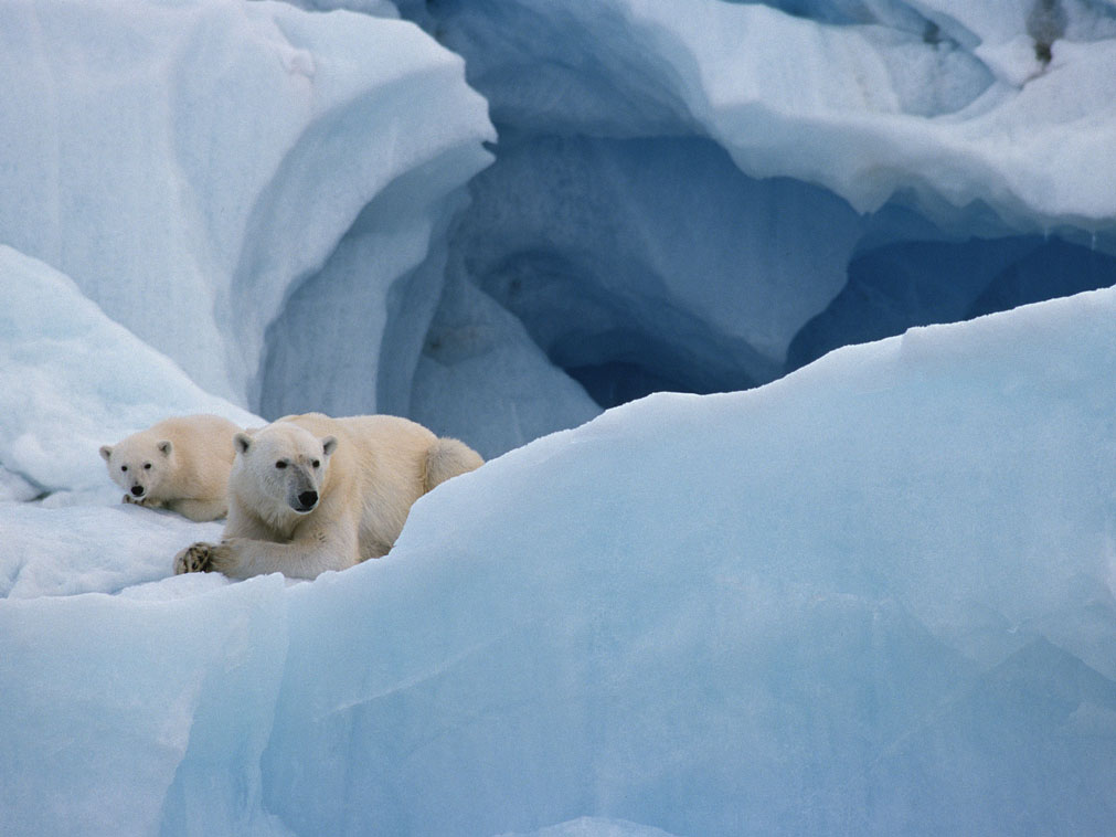 croisiere_arctique_amplitudes