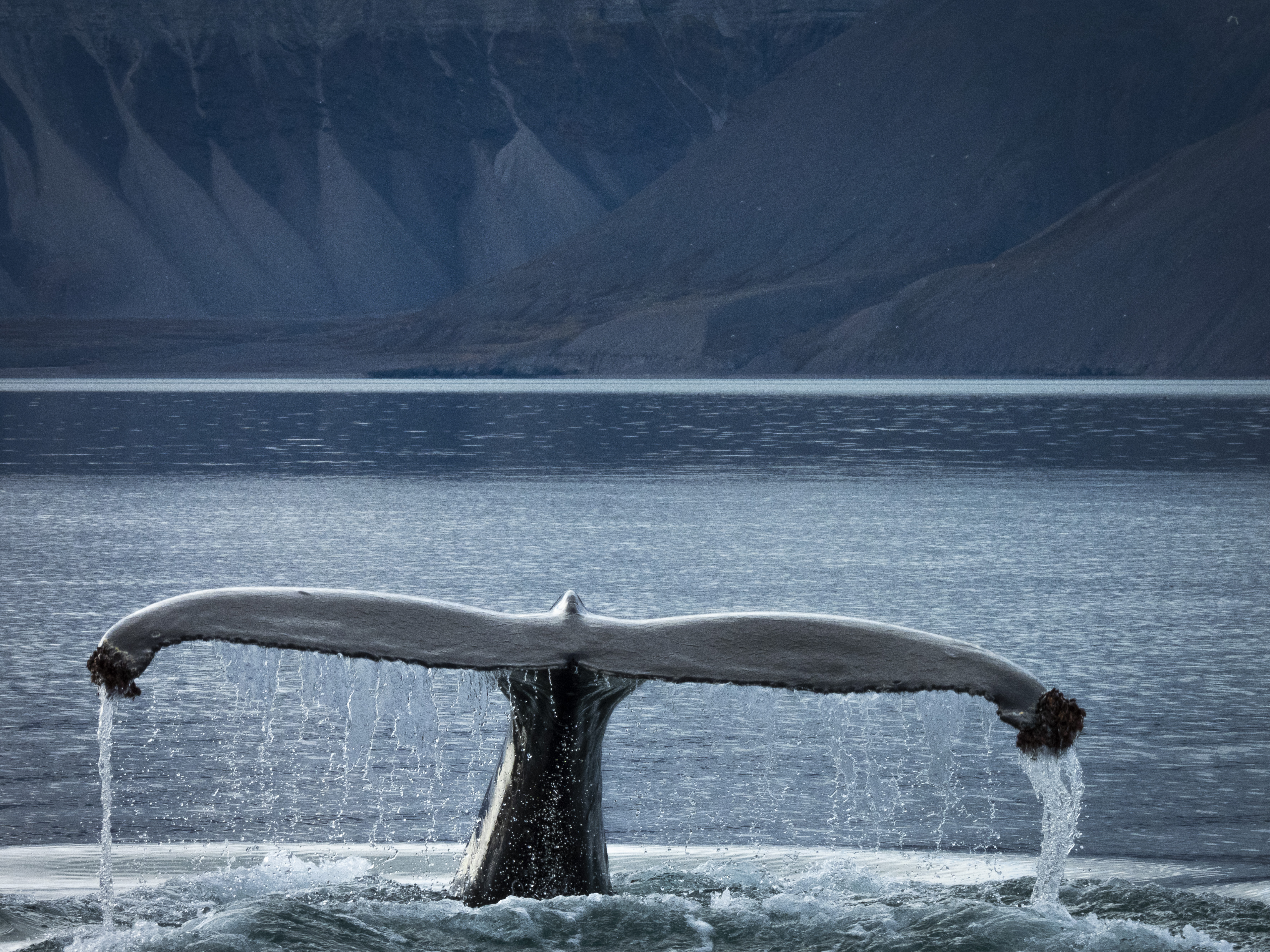 haakon_daae_visit_svalbard