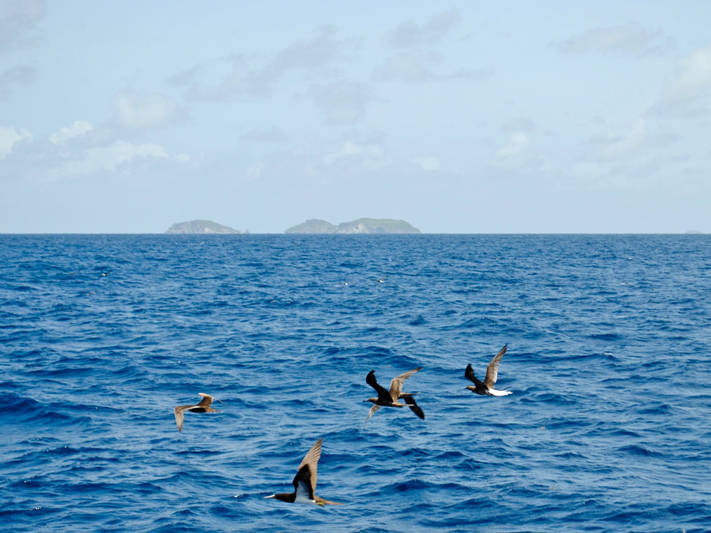 iles_grenadines_croisiere