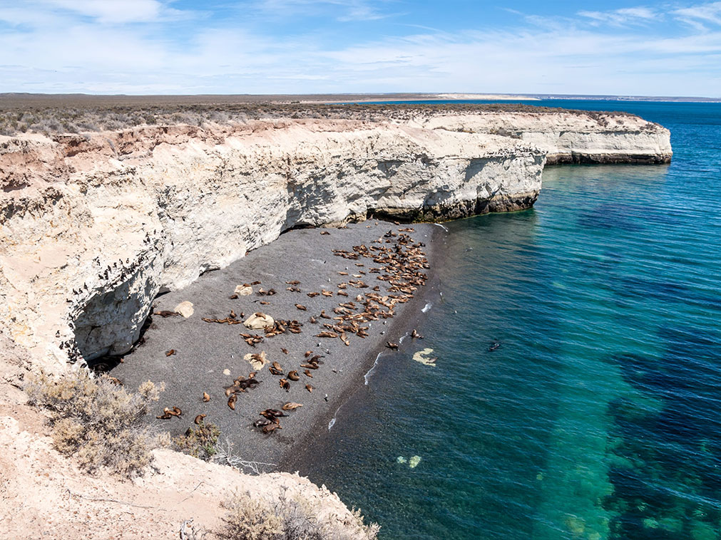 falaise_de_puerto_madryn