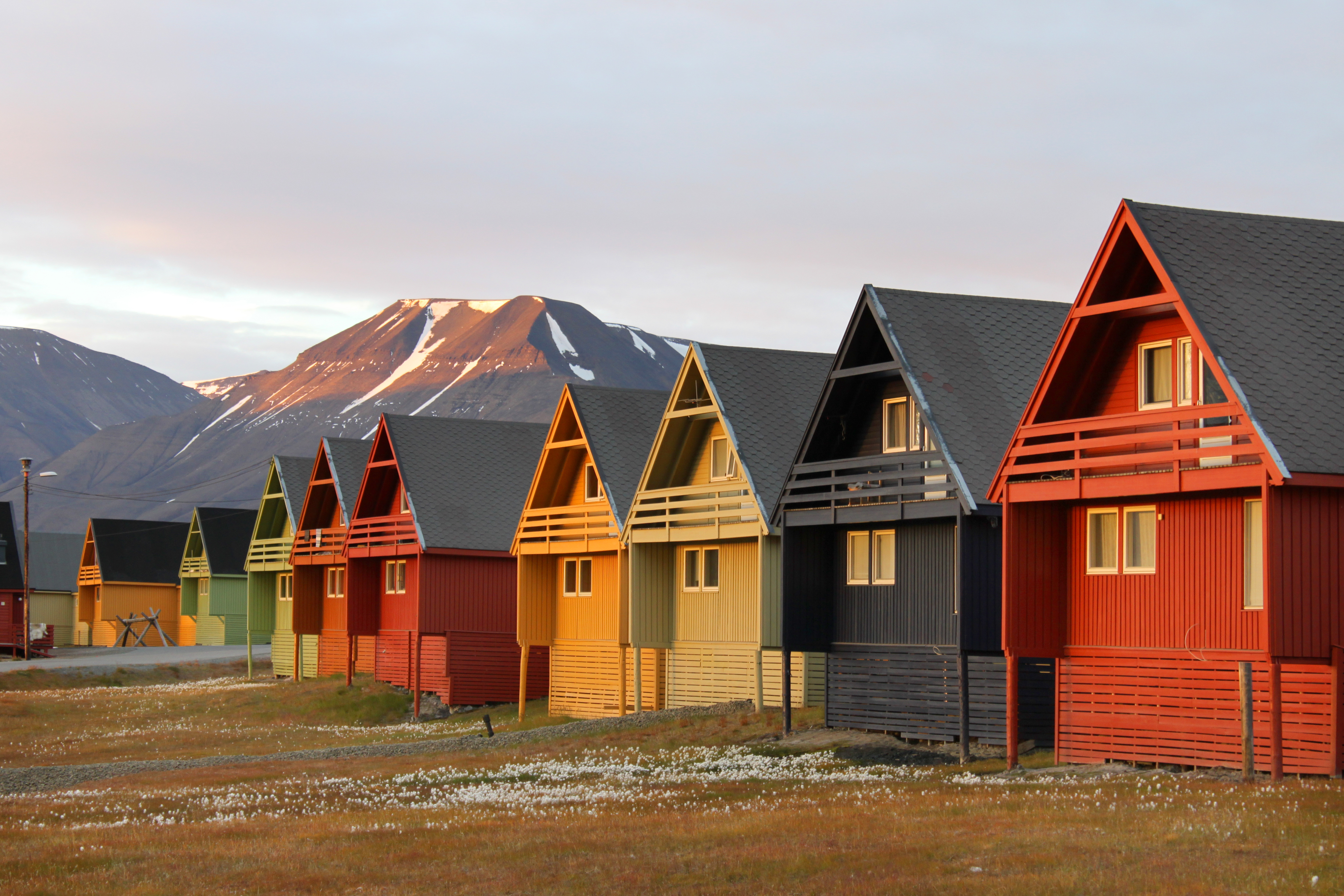 frank_andreassen_visit_svalbard