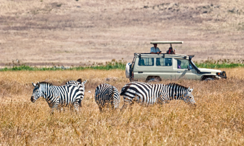 safari_kenya_4x4_amplitudes_voyage