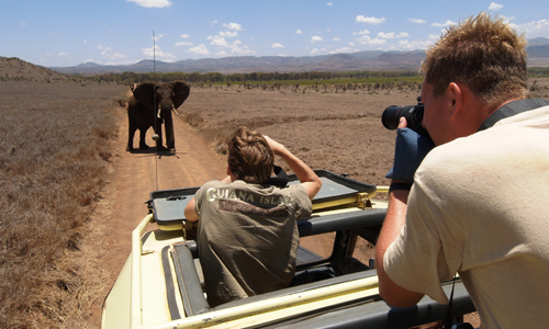 safari_kenya_4x4_avec_guide_voyage