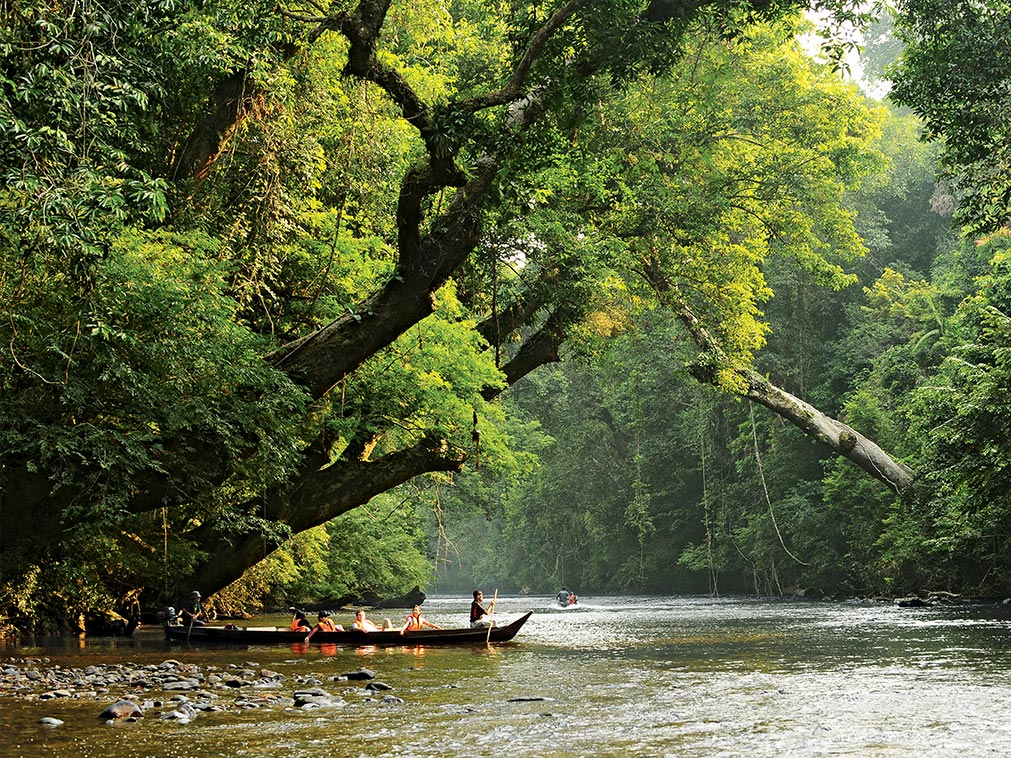 excursion_taman_negara_foret_tropicale_pirogue