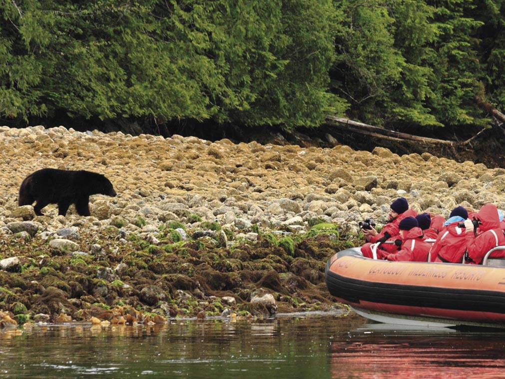 sejour_amplitudes_ouest_canadien_clayoquot