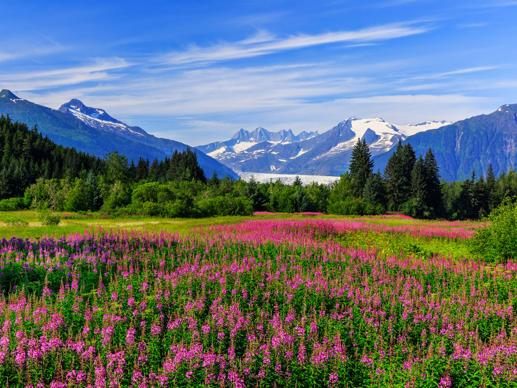 croisiere_en_alaska_bateau_amplitudes