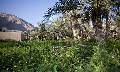 hotel_balneaire_six_senses_zighy_bay_oman