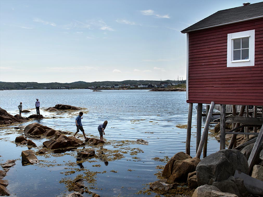 voyage_amplitudes_canada_confidentiel_fogo_island