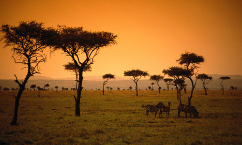 safari_kenya_4x4_amplitudes