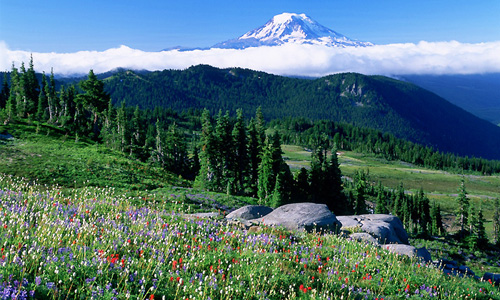 visiter_mont_rainier_national_park_randonnee