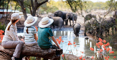 Famille en safari en Afrique