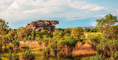 accroche-kakadu-fr