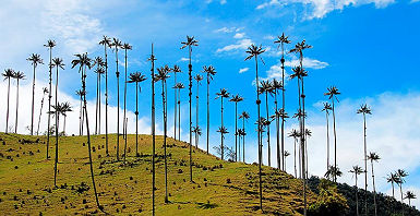 accroche-colombie-essentielle