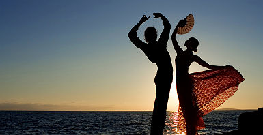 Flamenco en bord de mer