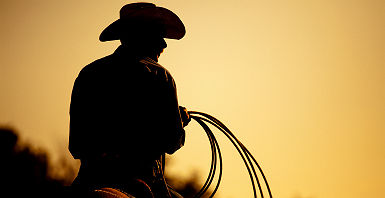 Cowboy au Texas, Etats Unis