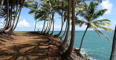 voyage en guyane