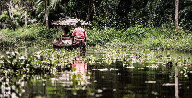 Bateau dans les Backwaters du Kerala - Inde