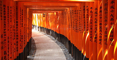 Les torii du sanctuaire Fushimi Inari-taisha - Japon