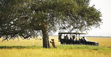 andBeyond Grumeti Serengeti River Lodge