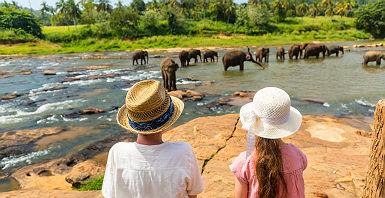 Enfants observant des éléphants au Sri Lanka