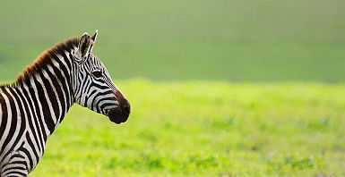 accroche-safari-tanzanie-plage-zanzibar