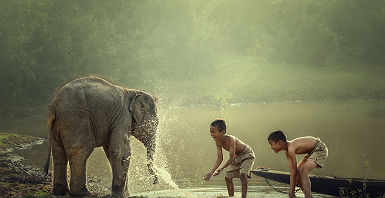 Thaïlande - Portrait de deux enfants et un éléphant qui jouent près de la rivière