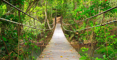 Pont suspendu dans le Parc national Khao Yai - Thaïlande