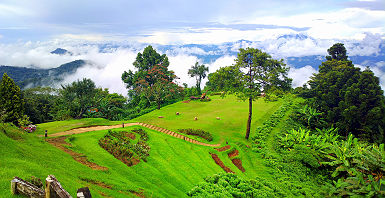 Champs dans une vallée de Chiang Mai - Thailande