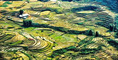 Vietnam - Vue sur les champs de riz à Sapa