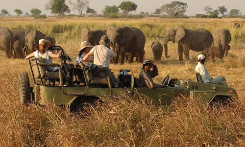 voyage_afrique_safari_namibie_botswana_afrique_sud