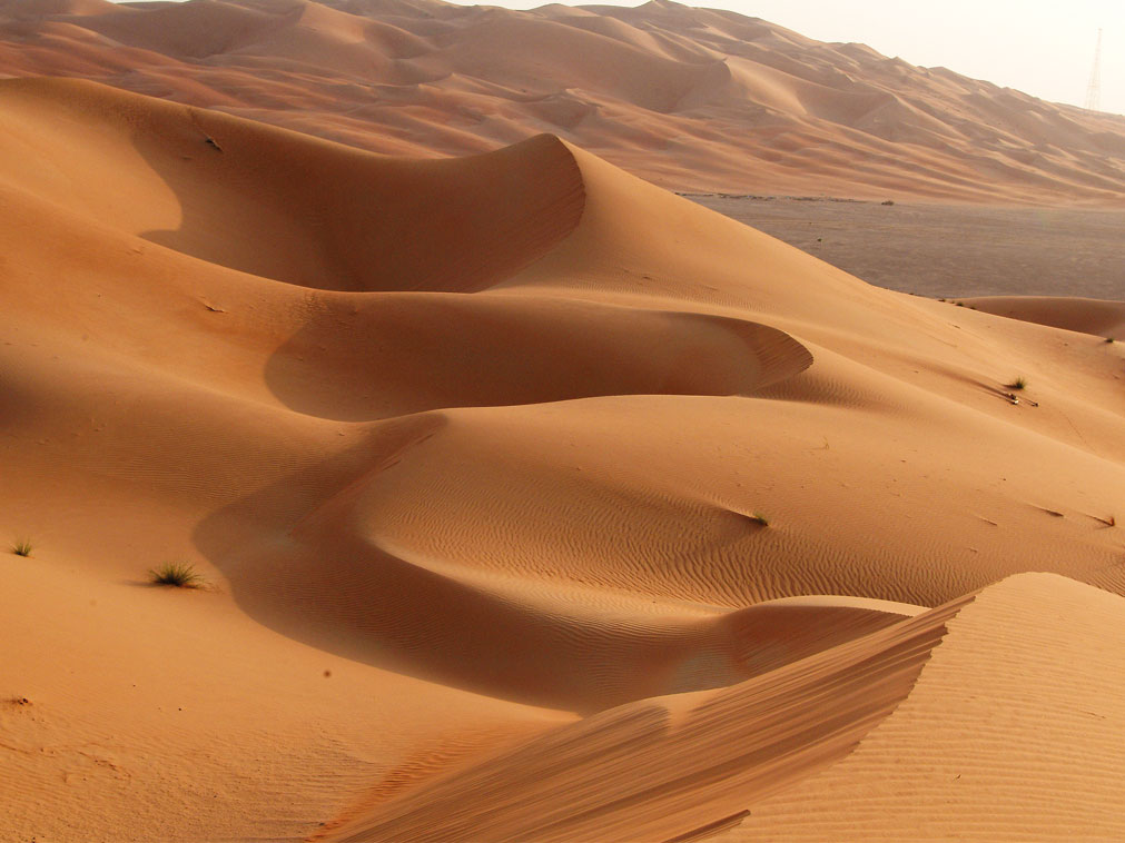 desert_abu_dhabi_decouvrir_dunes_voyager_sejour