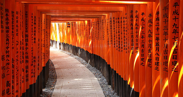 Les torii du sanctuaire Fushimi Inari-taisha - Japon