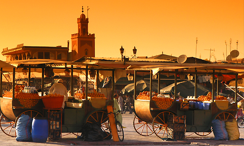 voyage_maroc_marrakech_place_djema_el_fna