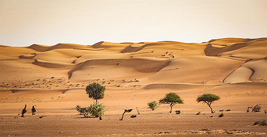 voyages_amplitudes_circuit_oman_zanzibar