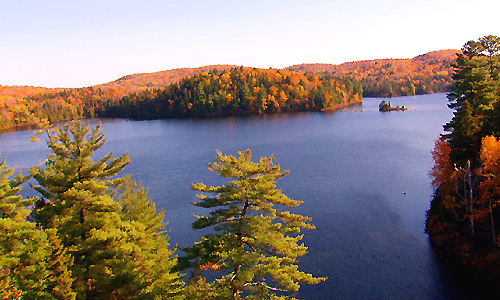 partir_canada_quebec_parc_des_grands_jardins